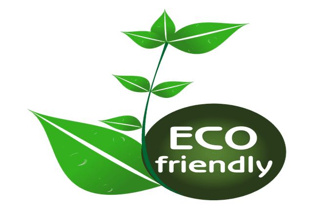 Sustainability and Eco Friendly Goods