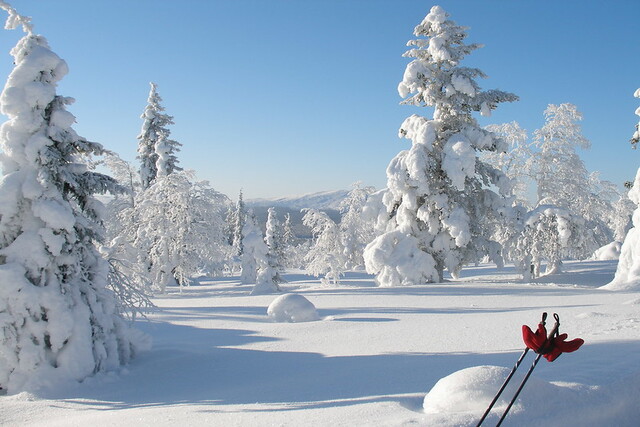 Winter Wonderland: Lapland, Finland