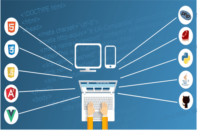 Applications of Padding in Image