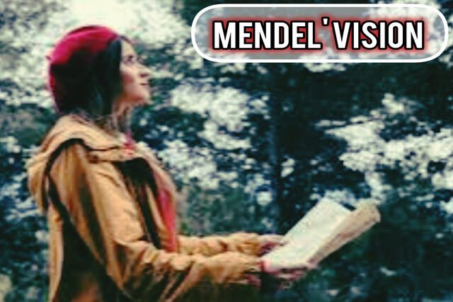 Adeena Mendel’s Vision