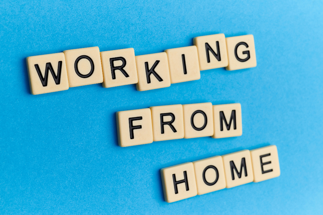 Work from Home Flexibility