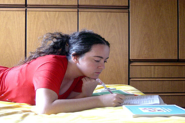 Proofreading in EssayHub