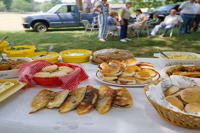 Picnic Ideas for Family Fun